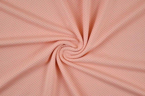 富民布料市場迎來新成員 濛運(yùn)針織