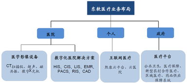 東軟集團(tuán) 深耕醫(yī)療信息化，構(gòu)建“三駕馬車”驅(qū)動的數(shù)字未來