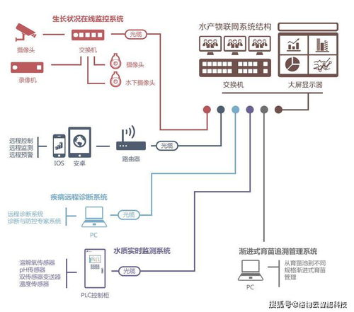 智慧農業新引擎 物聯網解決方案與網絡系統集成的融合實踐